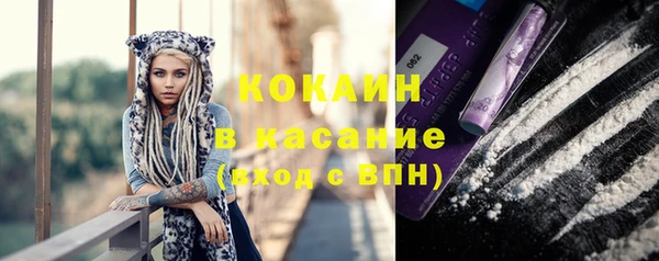 прущие крисы Арсеньев