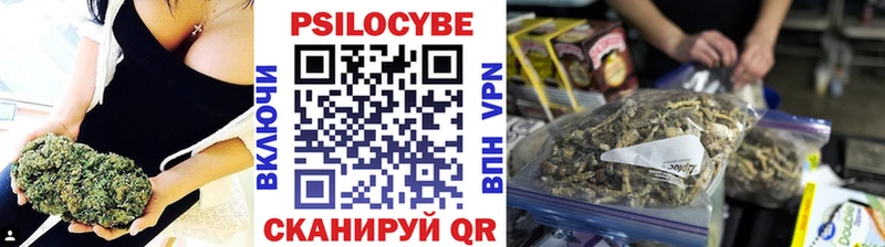 kraken вход Орлов Галлюциногенные грибы GOLDEN TEACHER